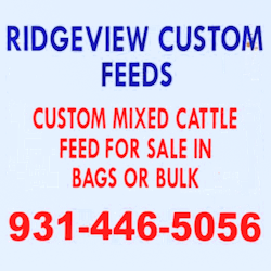 Ridgeview Custom Feeds